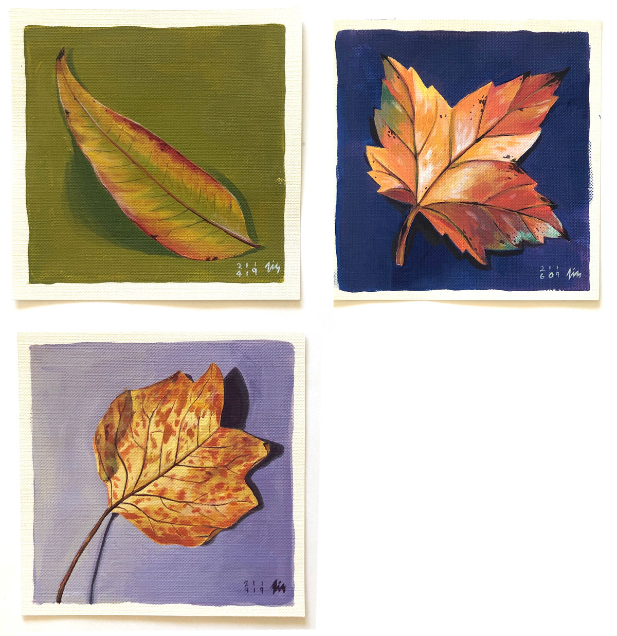 Fall Leaves, a series of small paintings by Liz Broekhuyse