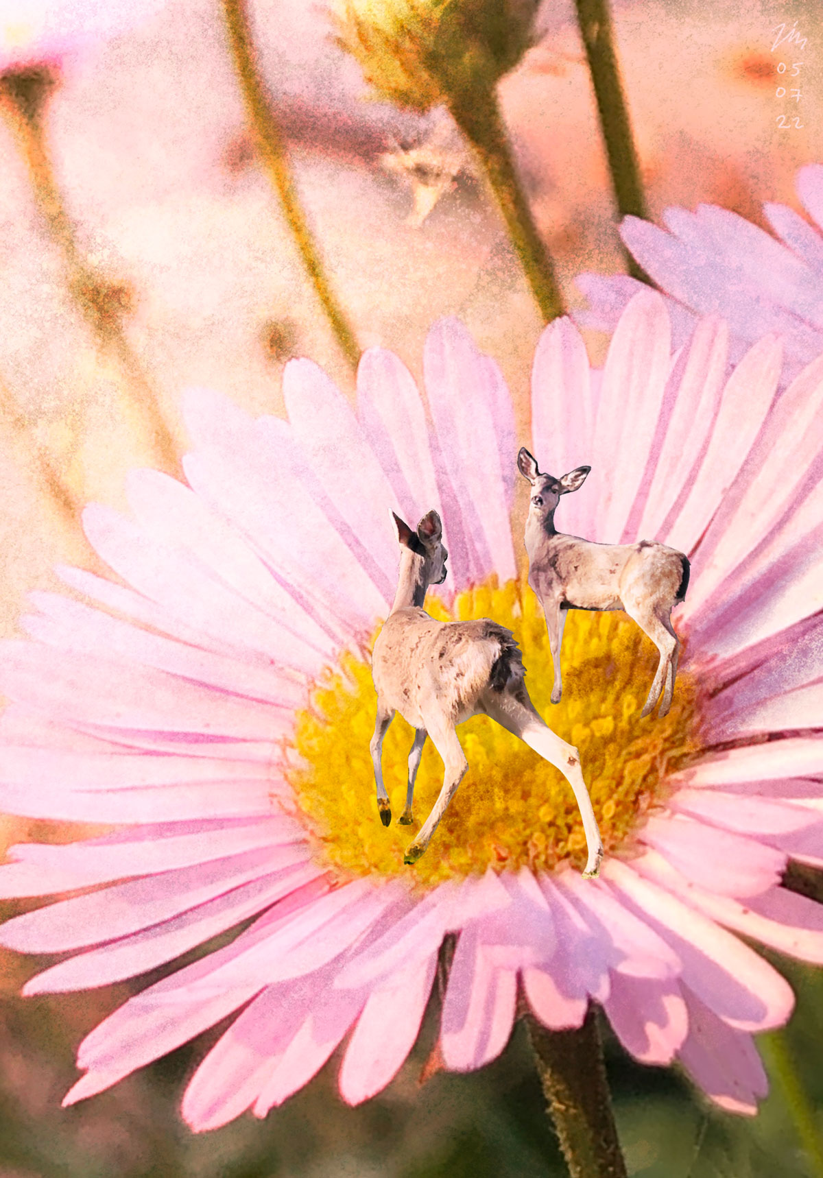 Deerest Friends, a surreal photo collage featuring two deer prancing on a daisy by Liz Broekhuyse